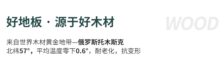 國外籃球館籃球木地板發展歷程