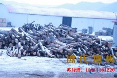 影響運動木地板價格的具體因素是什么？