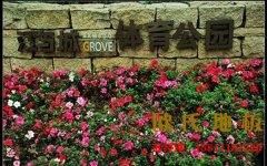 夏天炎熱雨季來臨，專業(yè)運動木地板該怎樣維護