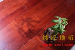 我們真正了解羽毛球運(yùn)動(dòng)木地板嗎，知道它的優(yōu)勢(shì)在哪嗎