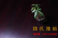 歐氏籃球木地板堅持技術創(chuàng)新