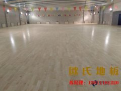 國內(nèi)運(yùn)動木地板價格行情兩極分化